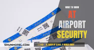 Airport Security: What to Show and How to Prepare