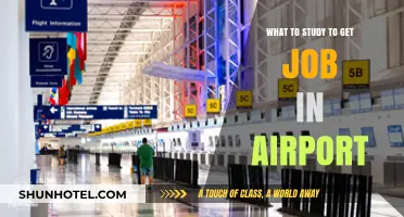 Unlocking Airport Careers: Key Study Paths for Aspiring Professionals