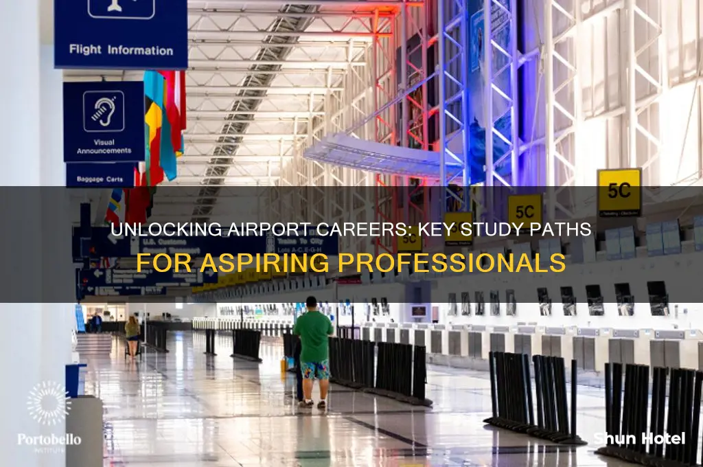 what to study to get job in airport