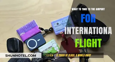 Essential Travel Must-Haves for Your International Flight Journey