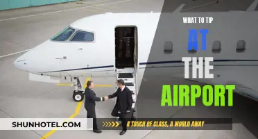 Tipping Etiquette: Navigating Airport Tips