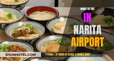 Exploring Narita Airport: Culinary Delights and Cultural Discoveries