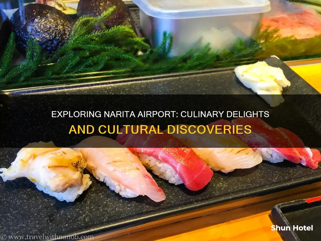 what to try in narita airport