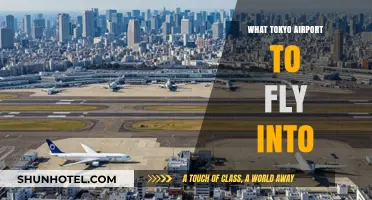Choosing the Right Tokyo Airport: Haneda vs. Narita Guide