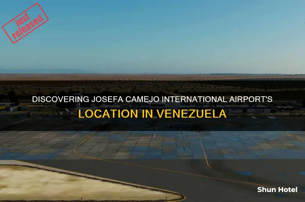 what town is josefa camejo international airport in