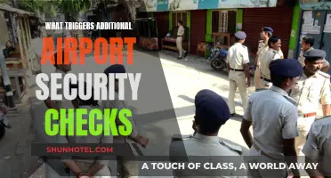 Airport Security: What Factors Trigger Additional Checks?