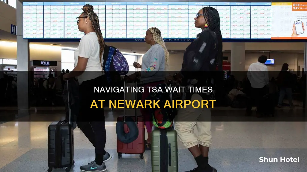 what tsa wait in newark airport