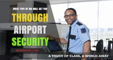Accepted IDs for Airport Security: What You Need to Know