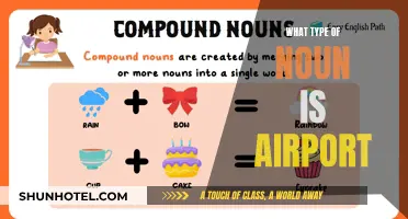 The Classification of 'Airport' as a Common Noun