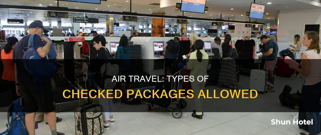 what type of packages can i check at the airport
