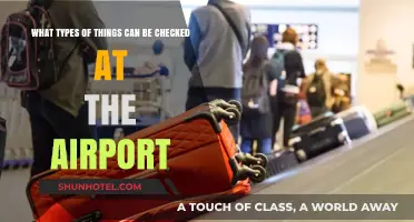 Security Checks: What to Expect at the Airport