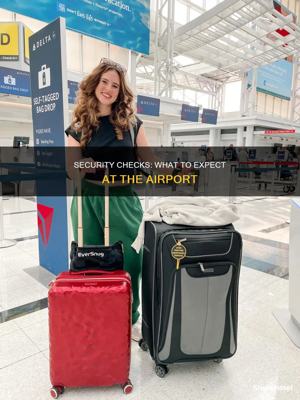 what types of things can be checked at the airport