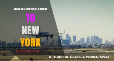 Direct UK to NYC Flights: Which Airports Offer Non-Stop Travel?
