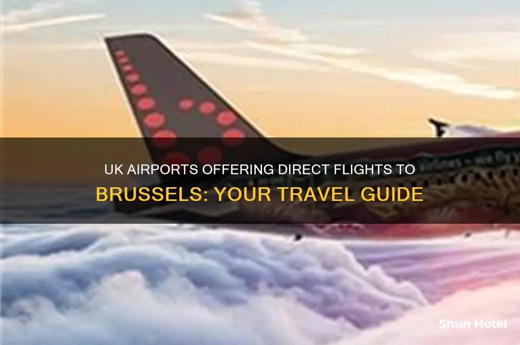 what uk airports fly to brussels