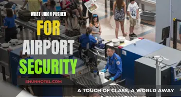 Unions' Push for Airport Security: Who and Why?