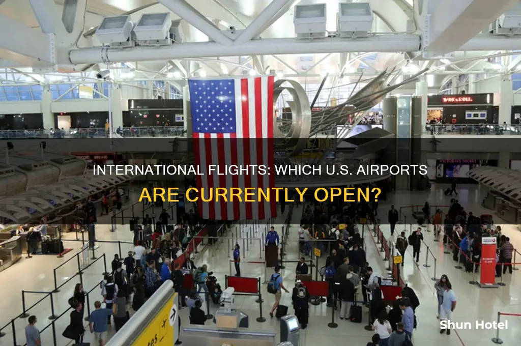 what us airports are open to international flights