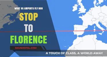 Nonstop Flights to Florence: Which US Airports Offer Direct Routes?