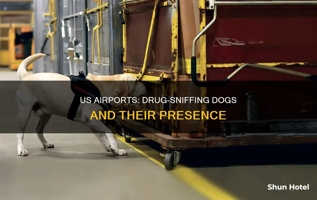 what us airports have drug k9s