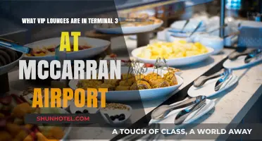 Exploring McCarran Airport: VIP Lounges in Terminal 3