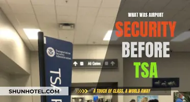 Airport Security Before TSA: A Historical Perspective