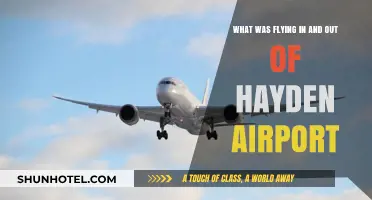 Hayden Airport Traffic: Unveiling Flights and Destinations in Detail
