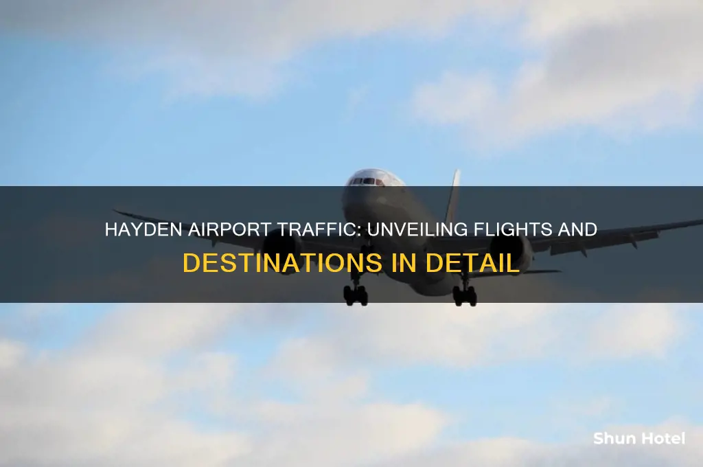 what was flying in and out of hayden airport