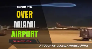 Unidentified Object Spotted: What Was Flying Over Miami Airport?