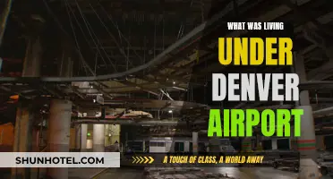Denver Airport's Secrets: What Lies Beneath?