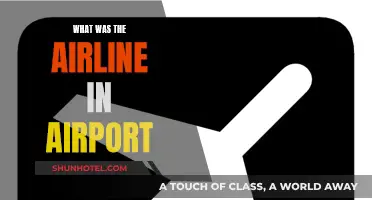 Airline Operators in Airports: Who's Who and What They Do
