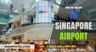 Singapore Airport Shopping: What to Buy?