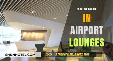 Exploring Airport Lounges: Benefits and Privileges