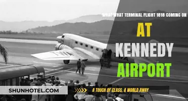 Kennedy Airport Welcomes Terminal Flight 1818: What to Expect
