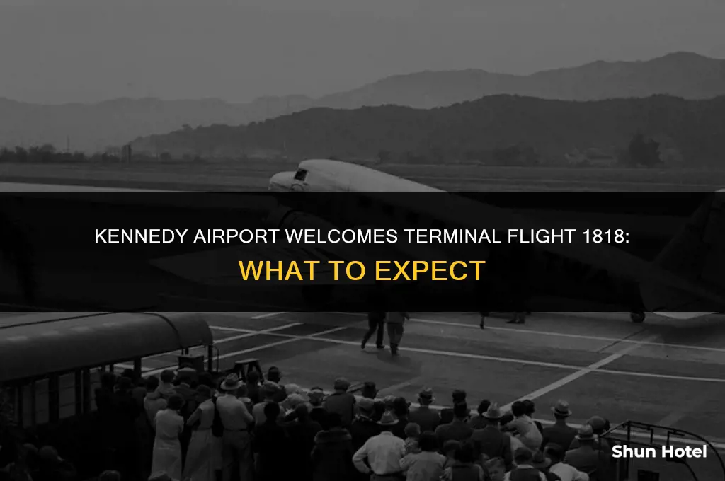 what what terminal flight 1818 coming on at kennedy airport