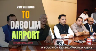 Dabolim Airport's Future: What's the Plan?