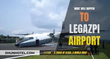 Legazpi Airport's Future: Expansion or New Construction?