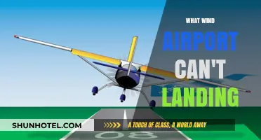 Challenging Airports: Windy Landings