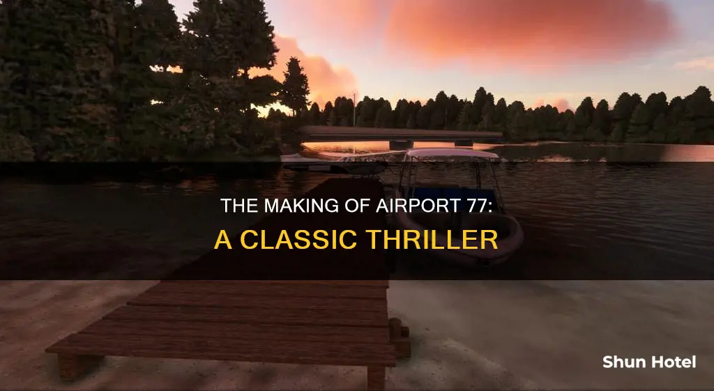 what year was airport 77 made