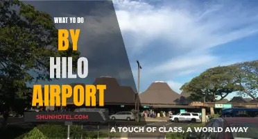 Exploring Hilo Airport and Nearby Attractions