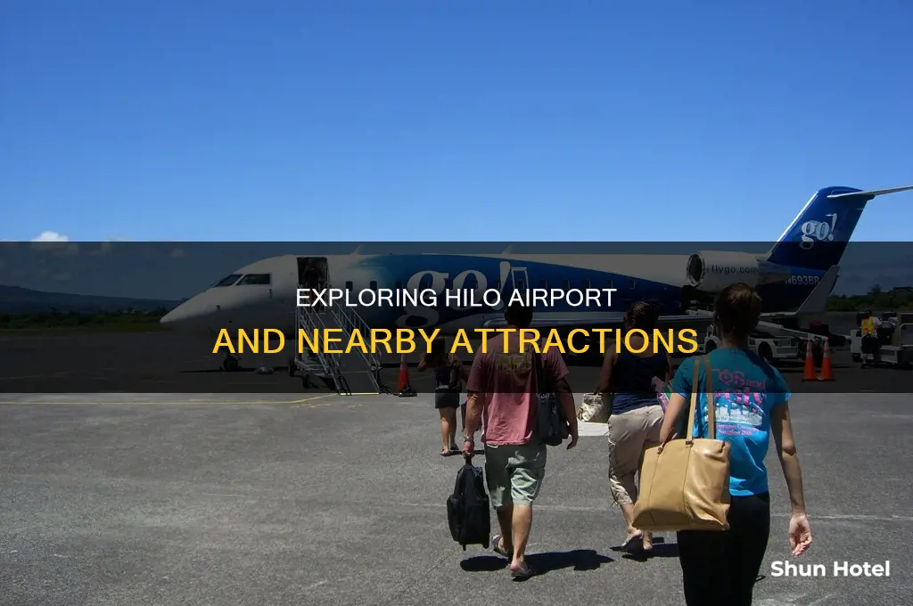 what yo do by hilo airport