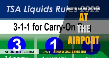Airport Security: What's Allowed and What's Not
