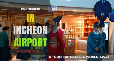Exploring Incheon Airport: Activities and Attractions