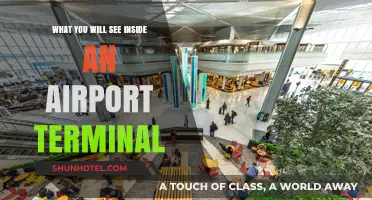 Exploring the Airport Terminal: A Guide to What You'll Discover Inside