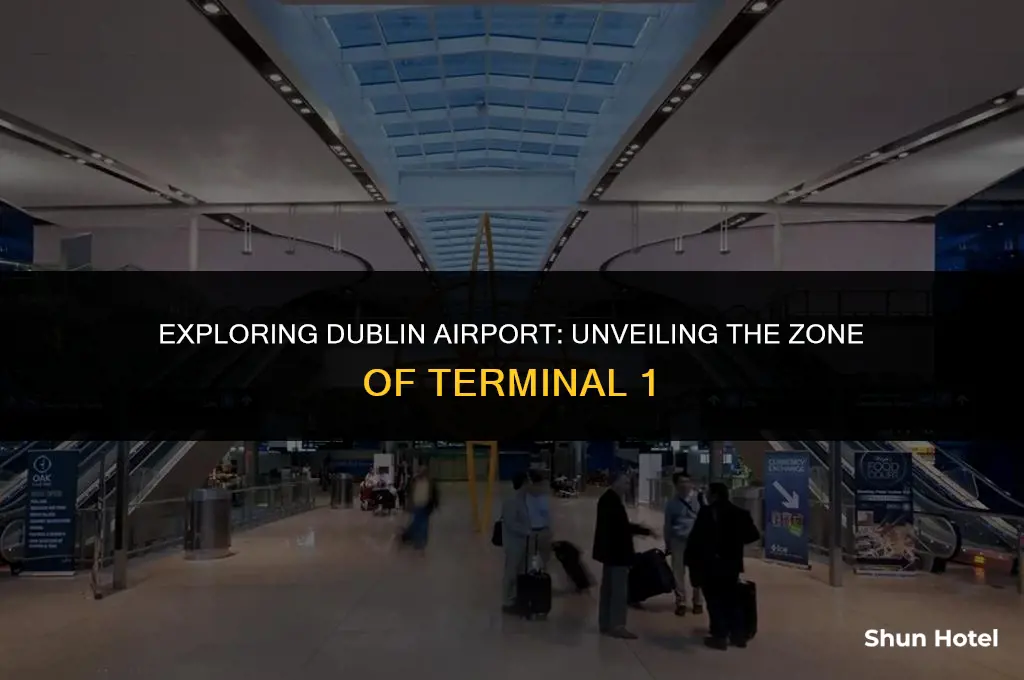 what zone is terminal 1 dublin airport