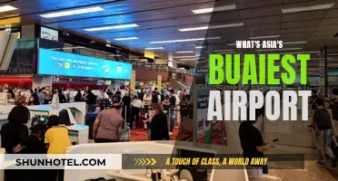 Asia's Most Chaotic Airports: A Traveler's Tale