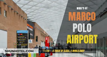 Marco Polo Airport: Unlocking Venice's Gateway to the World