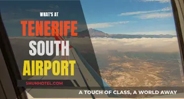 Exploring Tenerife South Airport and its Surroundings