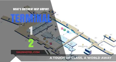 Exploring MSP Airport: Terminal 1 vs. Terminal 2 - What's Different?