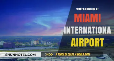 Chaos at Miami International: Delays, Cancellations, and Passenger Frustrations Explained