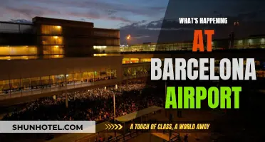 Barcelona Airport: Chaos and Confusion Amidst Travel Rush
