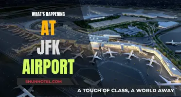 JFK Airport: Unraveling the Chaos and Confusion